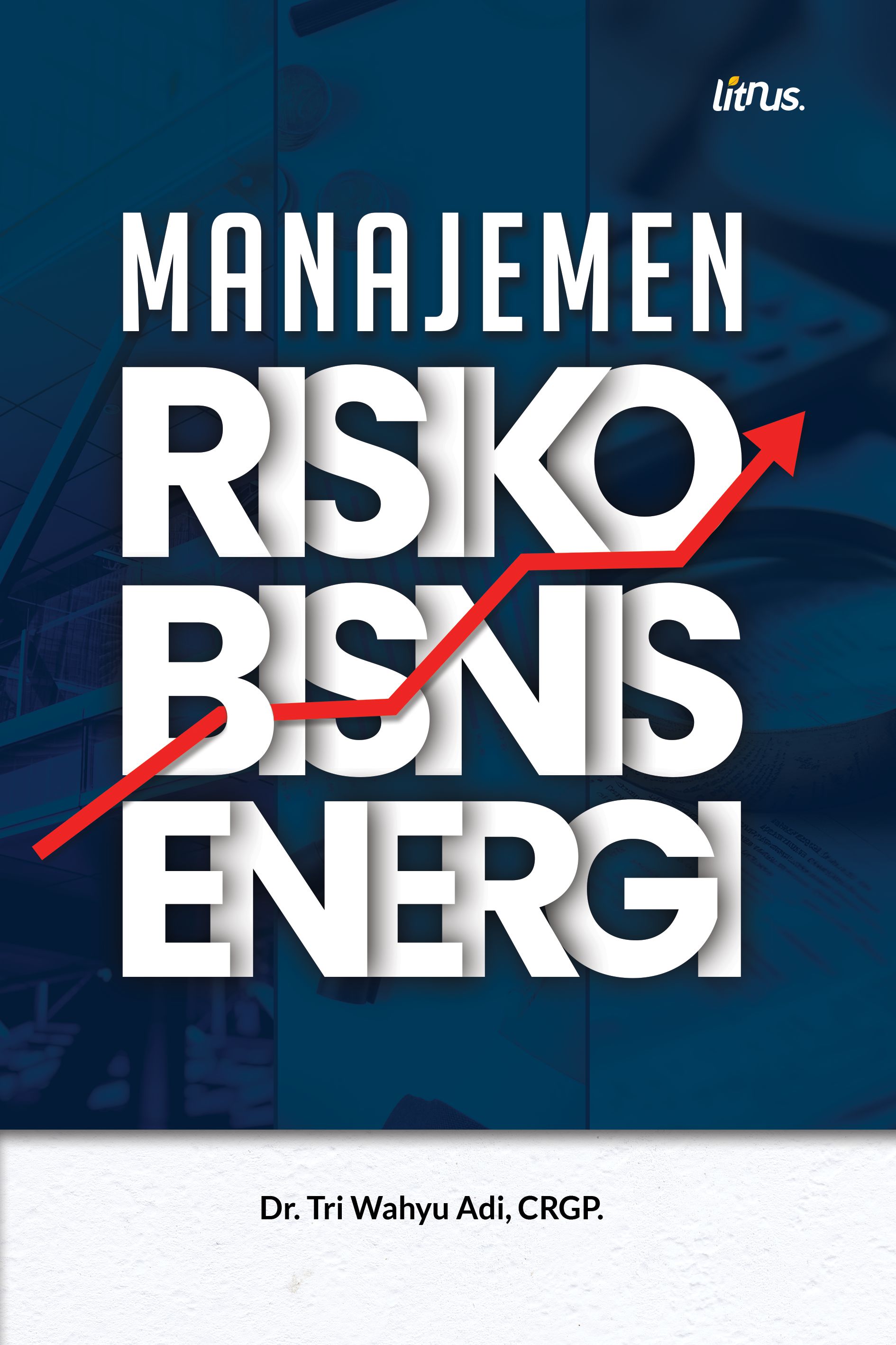 Sampul buku MANAJEMEN RISIKO BIS...